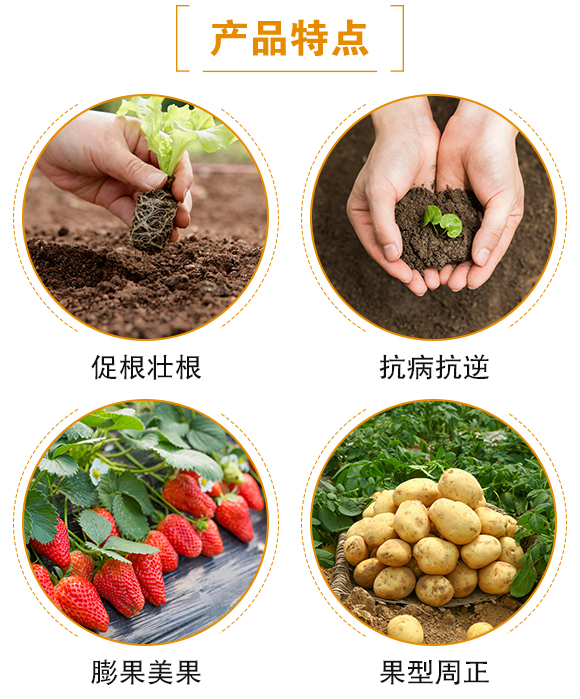 黑金-日正農業(yè)_04