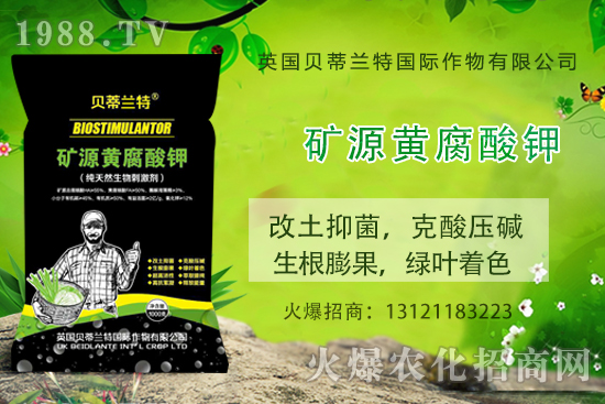 哈密瓜怎么種?哈密瓜種植應該注意哪些事項?