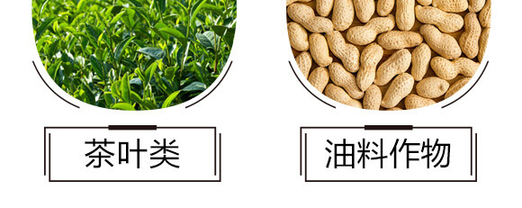 碳?xì)浜朔?藍(lán)藻門-碳?xì)鋰?guó)際_07