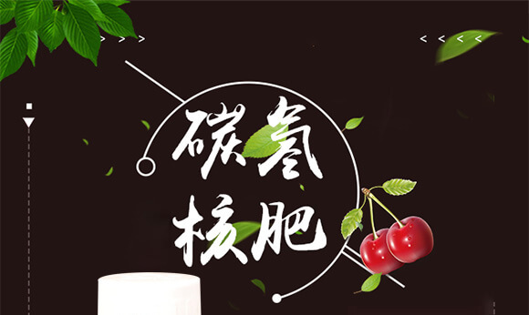 碳?xì)浜朔?藍(lán)藻門-碳?xì)鋰?guó)際_01