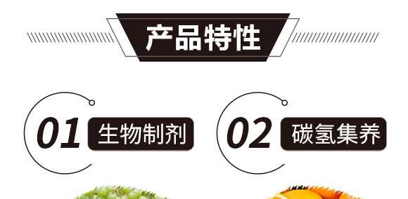 碳?xì)浜朔?藍(lán)藻門-碳?xì)鋰?guó)際_08