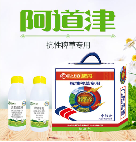 ԰޲݌(zhun)-޵-з_01