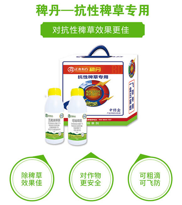 ԰޲݌(zhun)-޵-з_02