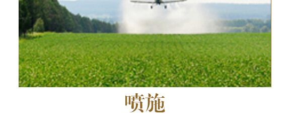中藥材山藥茯苓專(zhuān)用-含腐植酸水溶肥-北美農(nóng)大_13