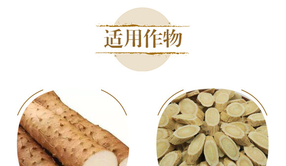 中藥材山藥茯苓專(zhuān)用-含腐植酸水溶肥-北美農(nóng)大_09