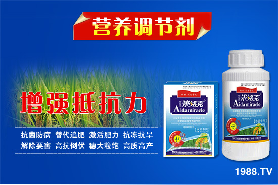 插圖