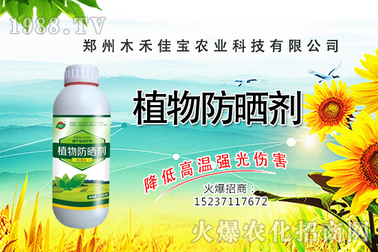 芽苗菜種植前景怎么樣,芽苗菜種植技術(shù)有哪些?