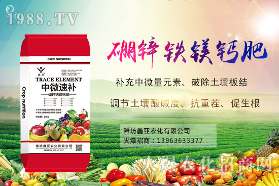 玉米價(jià)格
