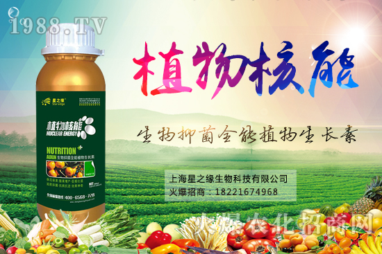 南瓜病蟲害防治