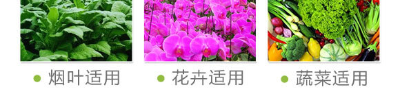 (x)-(gu)S@_09