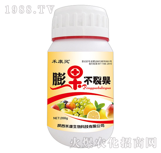 冬棗裂果發(fā)病原因與規(guī)律,冬棗裂果病的防治方案!