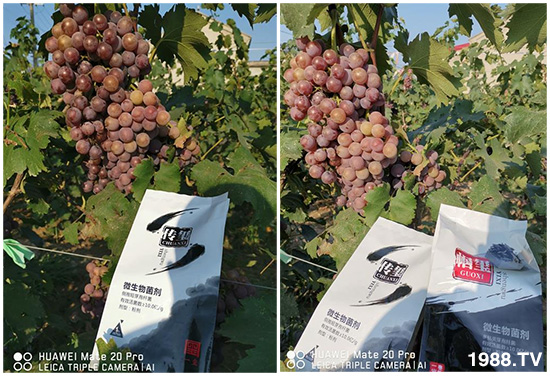 好產(chǎn)品好作用,“一璽生物”微生物菌劑“幗璽”客戶真實(shí)反饋!