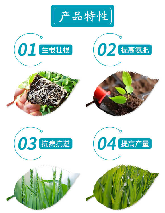 螯合型碳酶聚能肥-艾谷園-艾谷農業(yè)_03