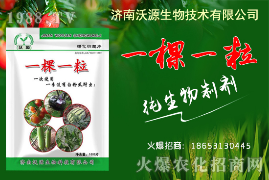 蚜蟲(chóng)、白粉虱、薊馬怎么防?沃源生物“一棵一粒”殺除蟲(chóng)卵,藥效!