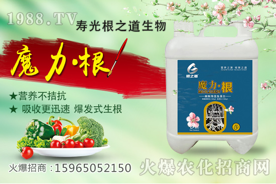 桃樹施肥有什么講究?桃樹施肥時間,如何做到科學施肥?