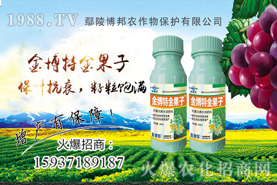 花生早衰減產(chǎn)嚴重該咋辦?花生早衰原因,種植戶如何避免?