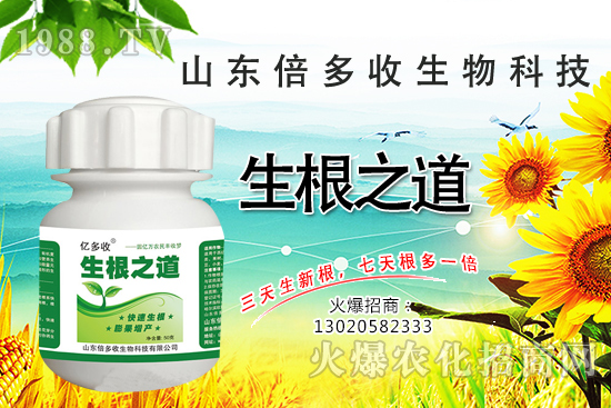作物根系差,產(chǎn)量低?“生根之道”快生新根,抗病增產(chǎn)無憂!