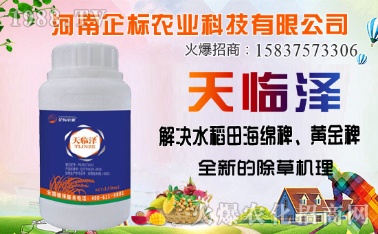 丁草胺除草機理,丁草胺能防除哪些草?使用注意事項有哪些?