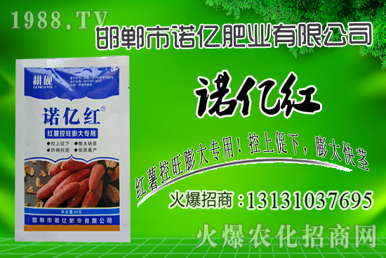 邯鄲市諾億紅