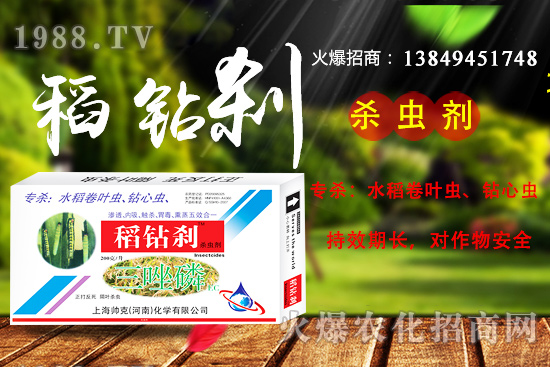 水稻鉆心蟲抗性嚴重,該如何防治? “稻鉆剎”教您如何消滅!