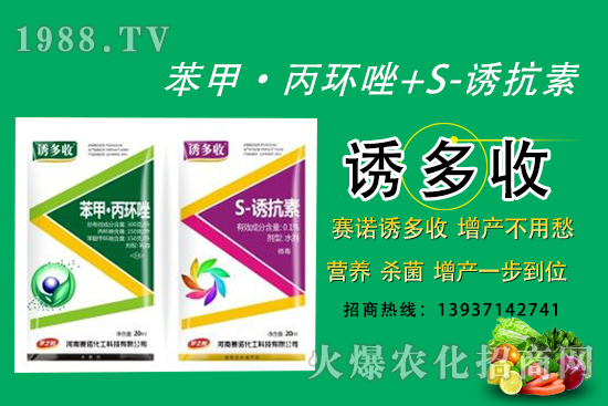 “苯甲·丙環(huán)唑+S-誘抗素”營養(yǎng)、殺菌、增產(chǎn)一步到位!