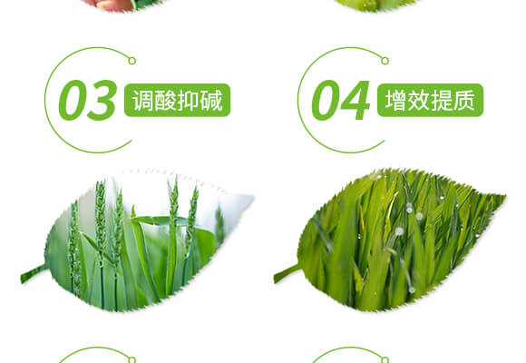 礦源黃腐酸鉀-黑色革命-愛農(nóng)斯達(dá)_05