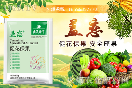 柑橘潰瘍病