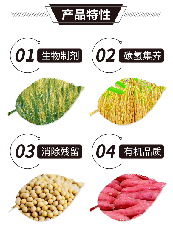 碳?xì)浜朔?金藻門-碳?xì)鋰?guó)際_02