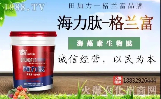 海力肽-格蘭富