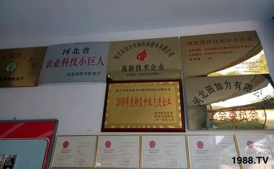 獲獎眾多