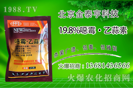 連年種植番茄青枯病越來(lái)越重!番茄青枯病可以防治嗎?用什么藥?