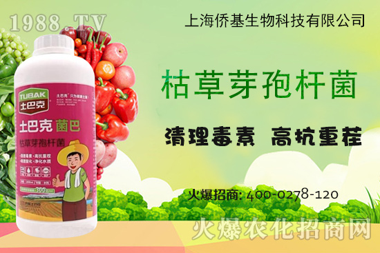 尿素價格