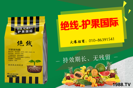 棉花為什么要打頂呢?有哪些好處?棉花打頂田間管理建議!