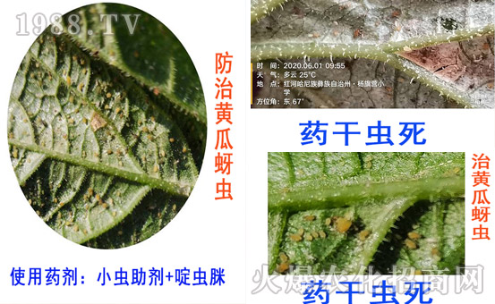     Сx(chng)(zhun)-ЧS