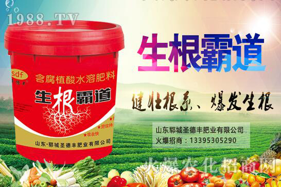 花椒樹種植季節(jié)是什么時候?花椒樹種植技巧有哪些?