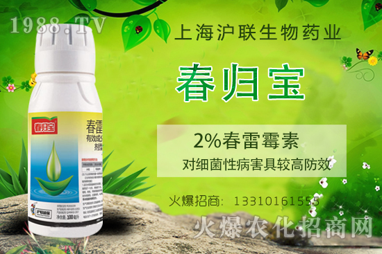 春雷霉素能防治什么病害?春雷霉素的作用機理及使用注意事項!