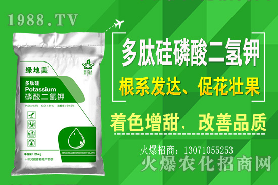 芹菜的優(yōu)良品種有哪些?芹菜種植生長(zhǎng)環(huán)境(附種植技術(shù))