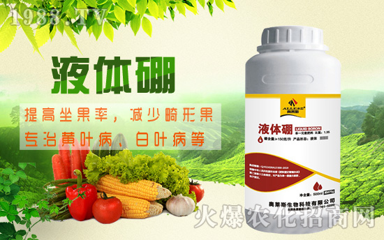 棉花缺硼危害究竟有多大,棉花缺硼癥狀及硼肥施用技術!