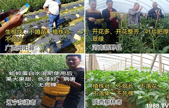 水溶肥市場(chǎng)大變革。亢T寰、魚蛋白將被它代替!1000多用戶鼎力推薦!