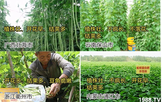 水溶肥市場(chǎng)大變革!?海藻精、魚蛋白將被它代替!1000多用戶鼎力推薦!