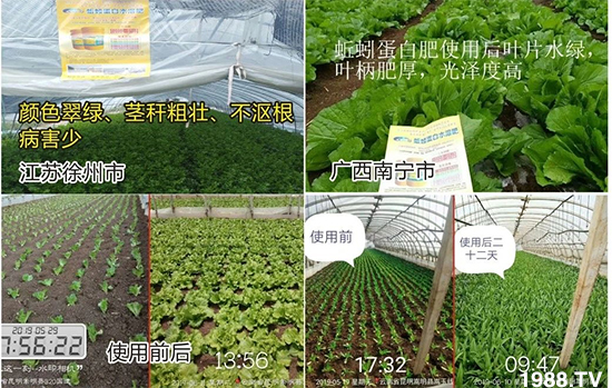 水溶肥市場(chǎng)大變革!?海藻精、魚蛋白將被它代替!1000多用戶鼎力推薦!