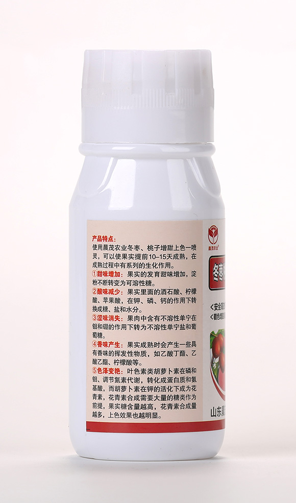 冬棗2