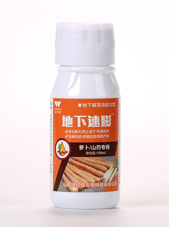 蘿卜1