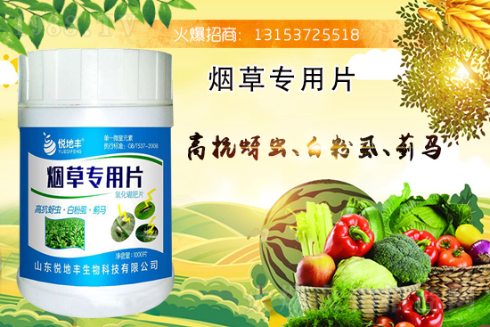 煙草專用片能治什么病害?煙草專用片有什么特點(diǎn)?