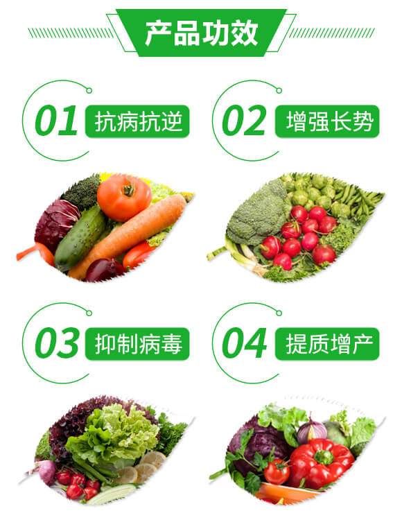 抑毒迎綠(專治病毒病)-綠肥_03