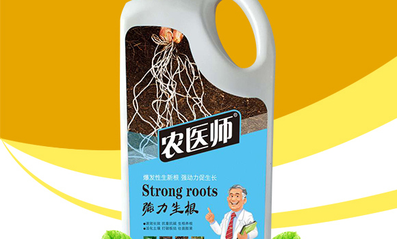 (qing)-r(nng)t(y)-_ţ_02