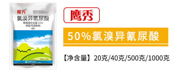 50%宐-(rn)o(h)_02
