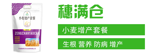 Сa(chn)ײ-M}(cng)_02
