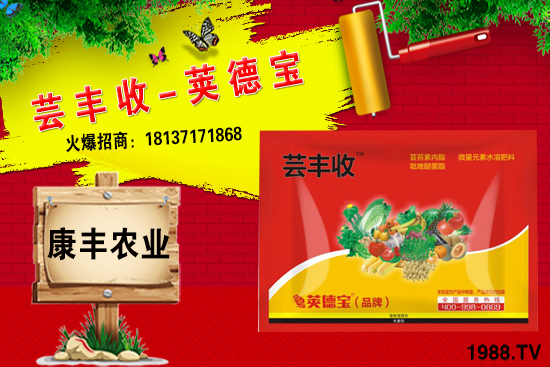 小麥高產(chǎn)套餐能解決小麥哪些問題?小麥高產(chǎn)套餐使用方法!