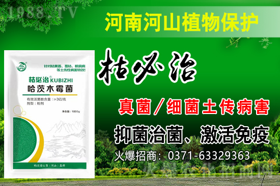 鼎盛河山